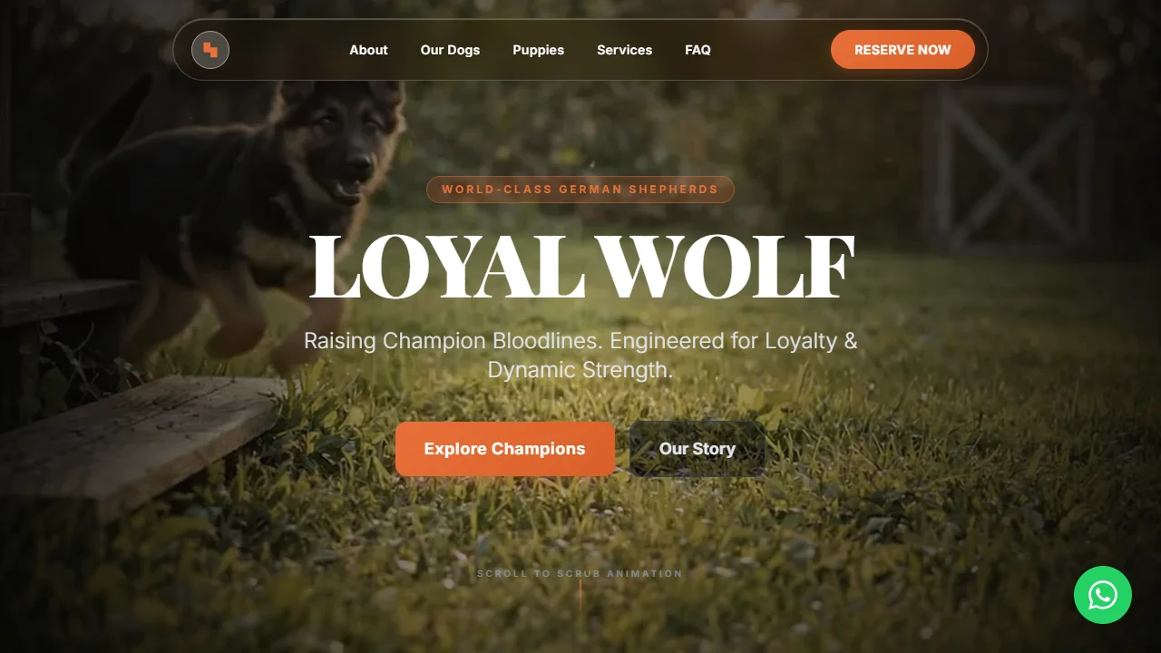 Loyal Wolf Kennel — German Shepherd Breeding & Showcase Platform